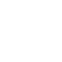 LinkedIn icon